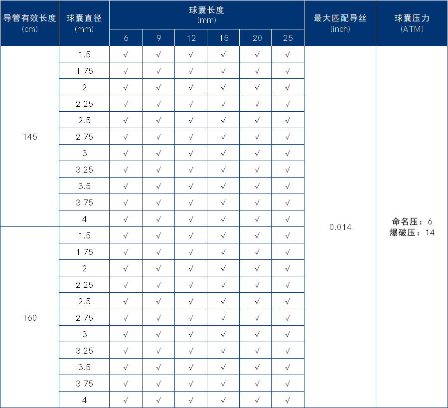 1Spacewin 颅内球囊扩张导管.png